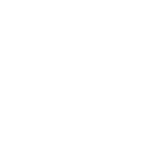 custom-icon-image